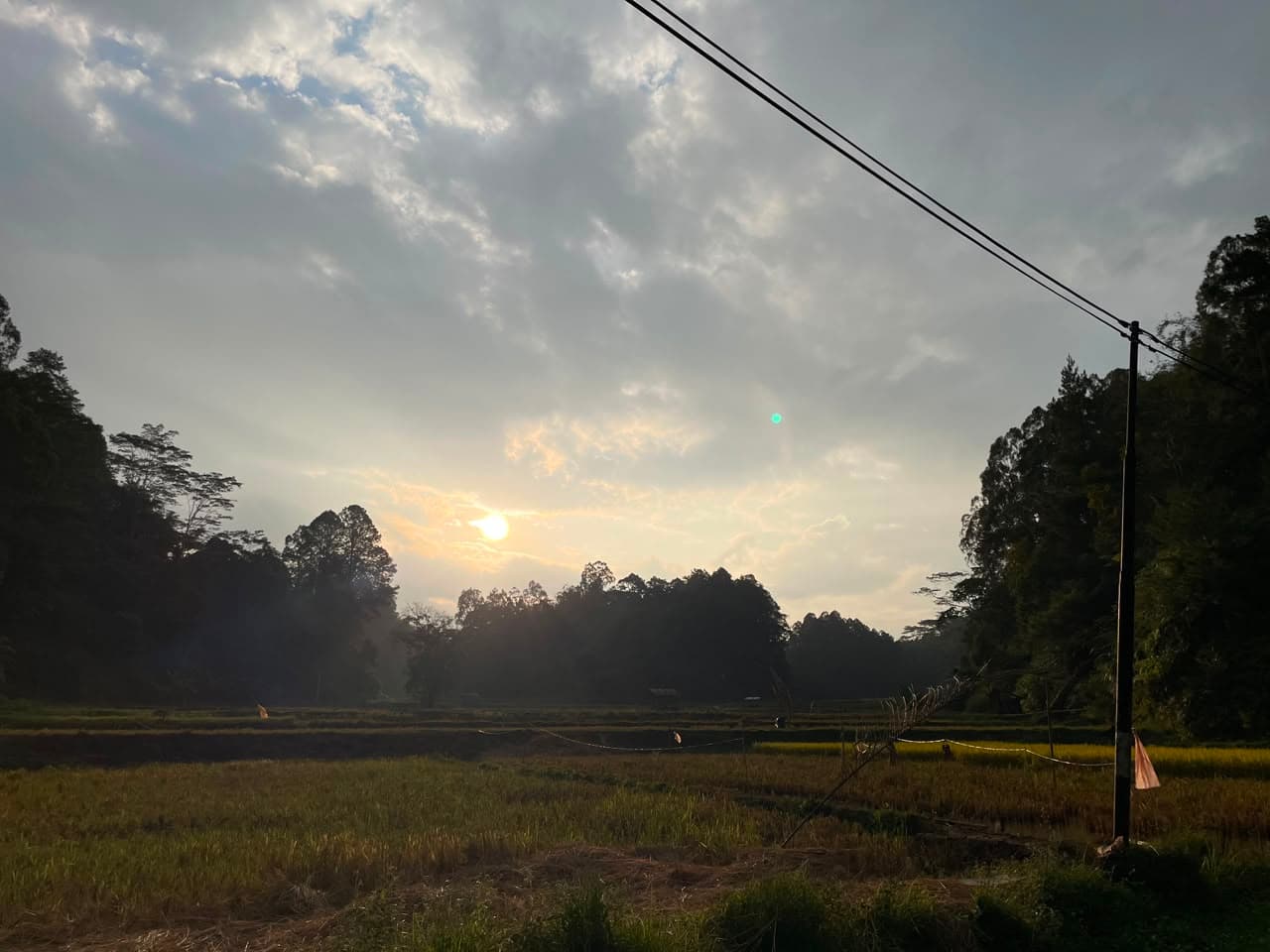 Hamparan Sawah
